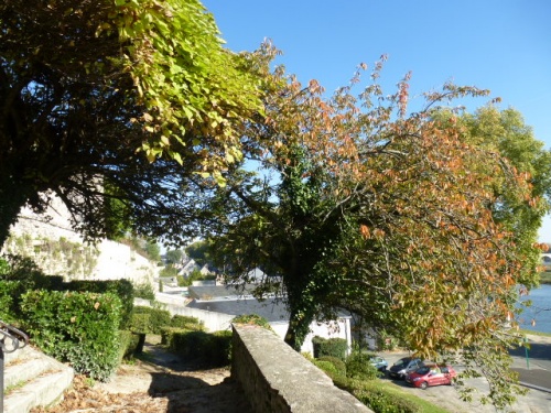 COULEURS D'AUTOMNE A BEAUGENCY