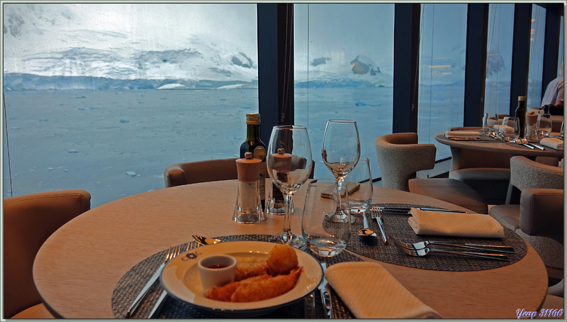 09/03/22 : nous quittons la plage de Néko Harbour, sur le trajet vers le navire, nous rencontrons un phoque léopard qui fait le beau devant nos appareils photos - Terre de Graham - Antarctique