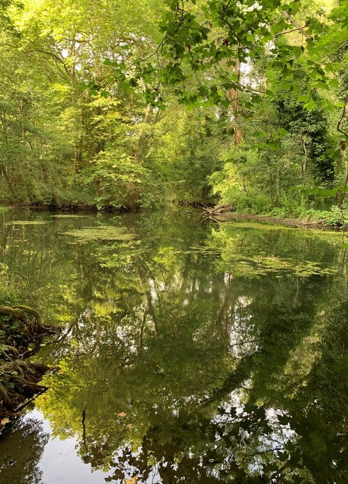 Quelques photos de Tom, promenade en vélo