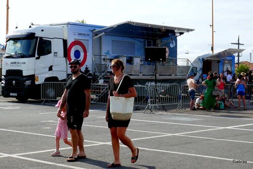 Spectacle supprimé : la patrouille de France