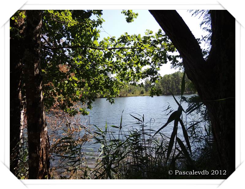 Les lacs de Lamothe, Bernadas et grand Bernadas à Hostens - 3/7