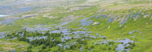 16 juin, de Djúpidalur à Tálknafjörður