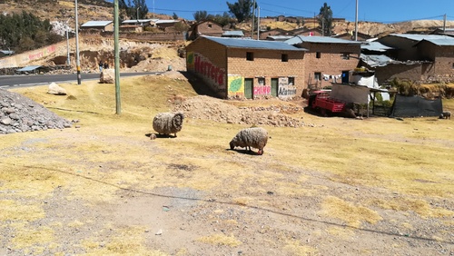 Cuzco - Nazca