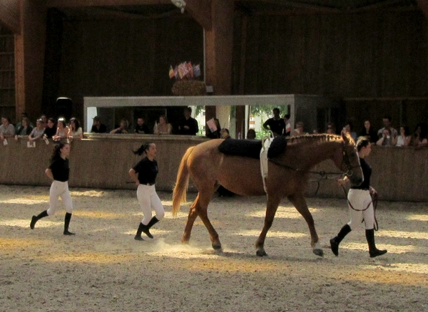 "Le tour du monde à cheval", un magnique spectacle organisé par la classe de 1ère CGEH du Lycée de La Barotte