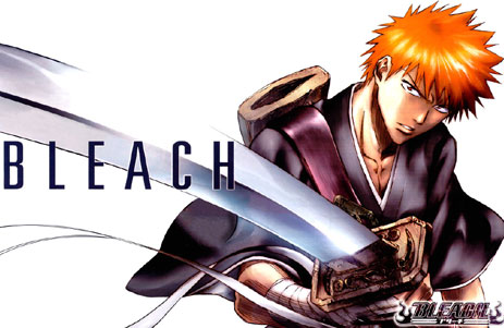 resumer de bleach