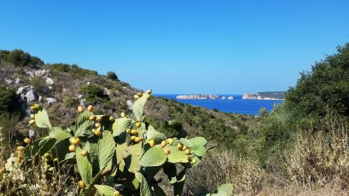 De PYLOS à METHONI