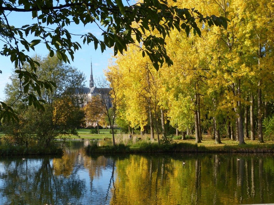 Lumière du matin 