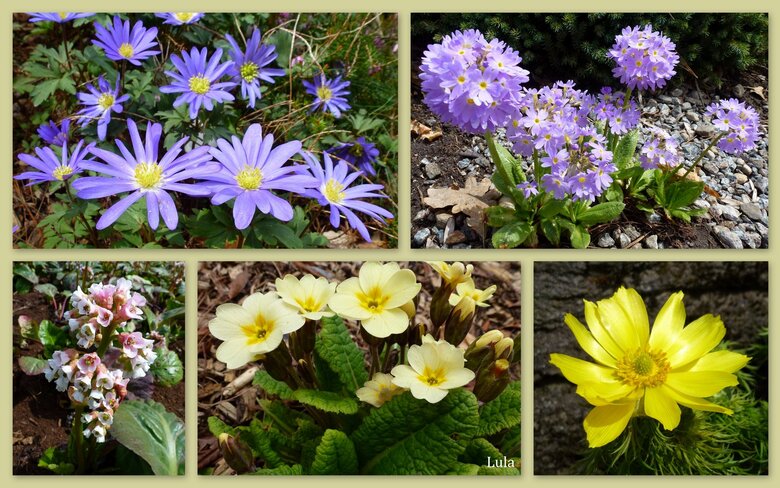 Mes adieux au Jardin Botanique de Montréal