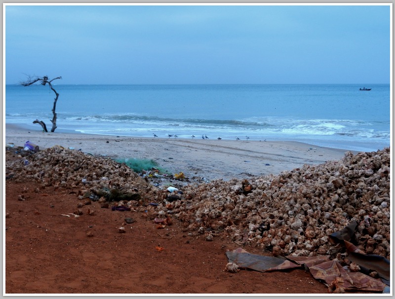 COULEURS - TERRES D'AFRIQUE