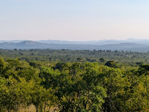 parc naturel Krüger; quelques images de la végétation;