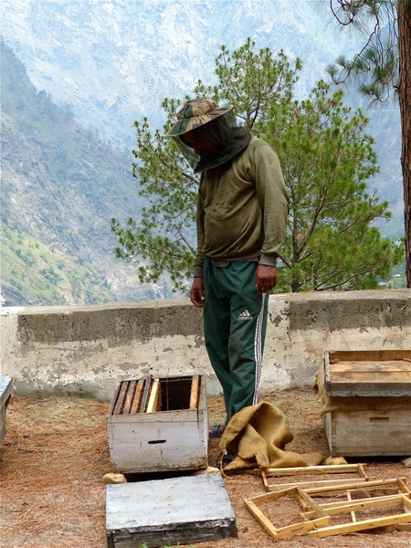 rencontre avec un apiculteur;