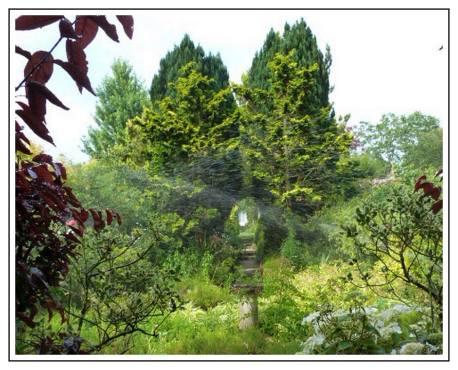 Le jardin de La Petite Rochelle 