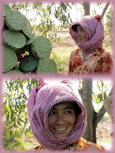 Blog de images-du-pays-des-ours :Images du Pays des Ours (et d'ailleurs ...), Laos, pays de la sérénité, Cambodge, pays du sourire…