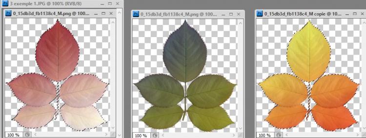Dégradé sur un tube