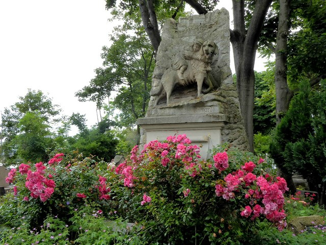 P1050991
