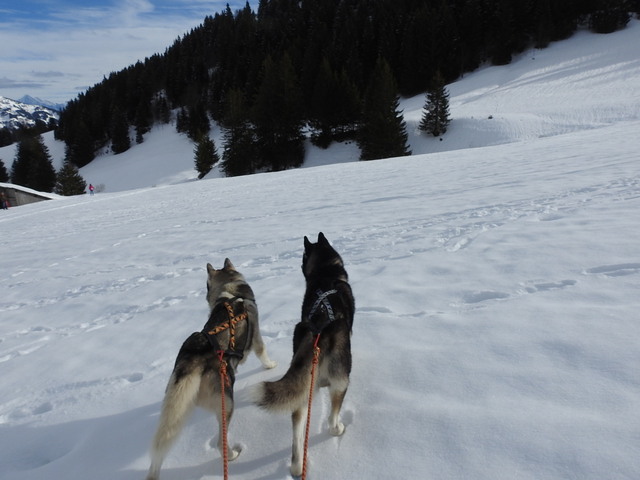 Le col des Aravis