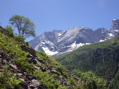 paysage de montagne