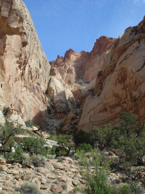 Capitol reef