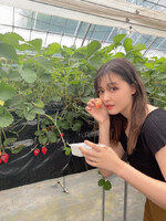 (2021) • BLOG • 25 mai - « Je suis allée chercher des fraises »