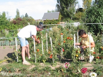 jardins familiaux