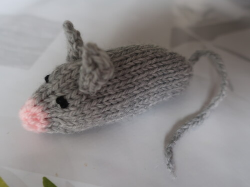 Une nouvelle petite souris