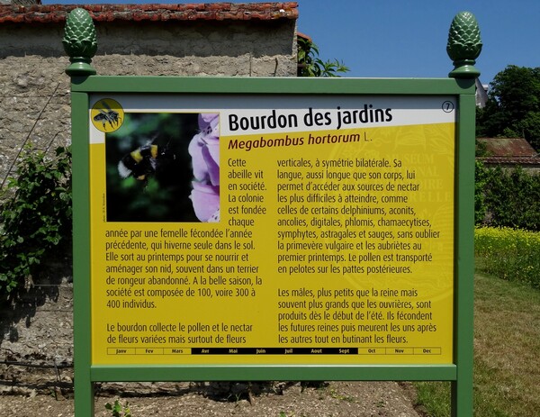 De magnifiques panneaux pédagogiques, prêtés par le Jardin des Plantes de Paris, ont décoré le jardin du château de Montigny sur Aube, durant tout l'été