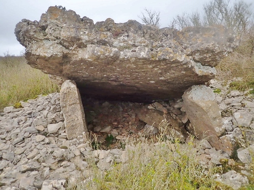 De saint jean d'Alcas à la vierge de Nonenque