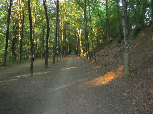 parc de l'aurence