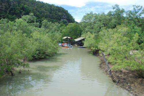 Mardi 16 juillet dans la jungle à Bako
