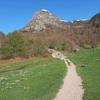 Traversée de la clairière du Col Long d'Ayous