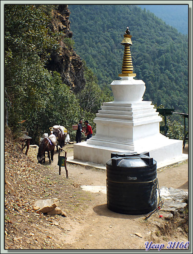 Blog de images-du-pays-des-ours : Images du Pays des Ours (et d'ailleurs ...), Sur le sentier du Monastère de Cheri - Bhoutan