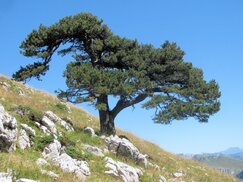 23 août 2016 - Les Rochers de Chalves et le goulet d'Hurtières