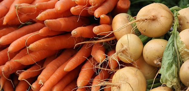 légumes de saison panier AMAP mars carottes-navets-legumes-de-saison-mars