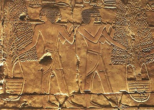 Expédition au pays de Pount, bas-relief du temple de Deir el-Bahari, XVe s. av. J.-C., Égypte