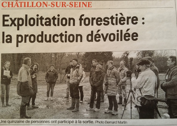 L'exploitation forestière dans le Châtillonnais, une vidéo de Pierre Magès