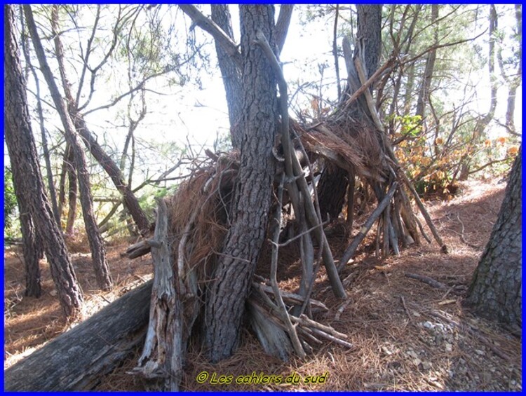 St Jean du Gard, le pic d'Arbousse