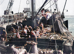  Anciennes photo du port de boulogne sur mer 