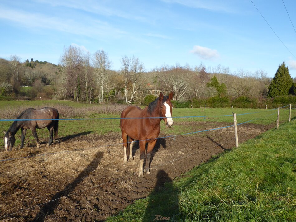 Une petite balade vers Cellefroin,