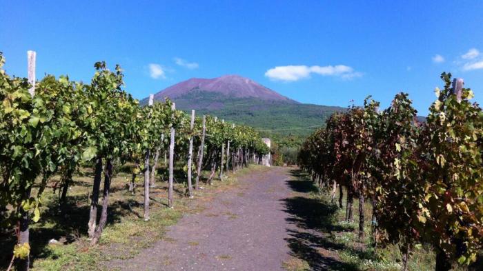 La nuée ardente du Vésuve aurait tué les habitants de Pompéi en moins de 20 minutes