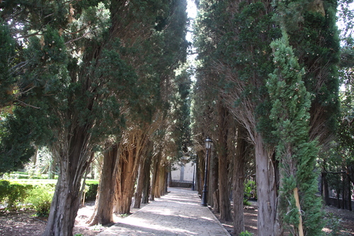 photo vacance palma de majorque espagne 7 au 14 mai  2016