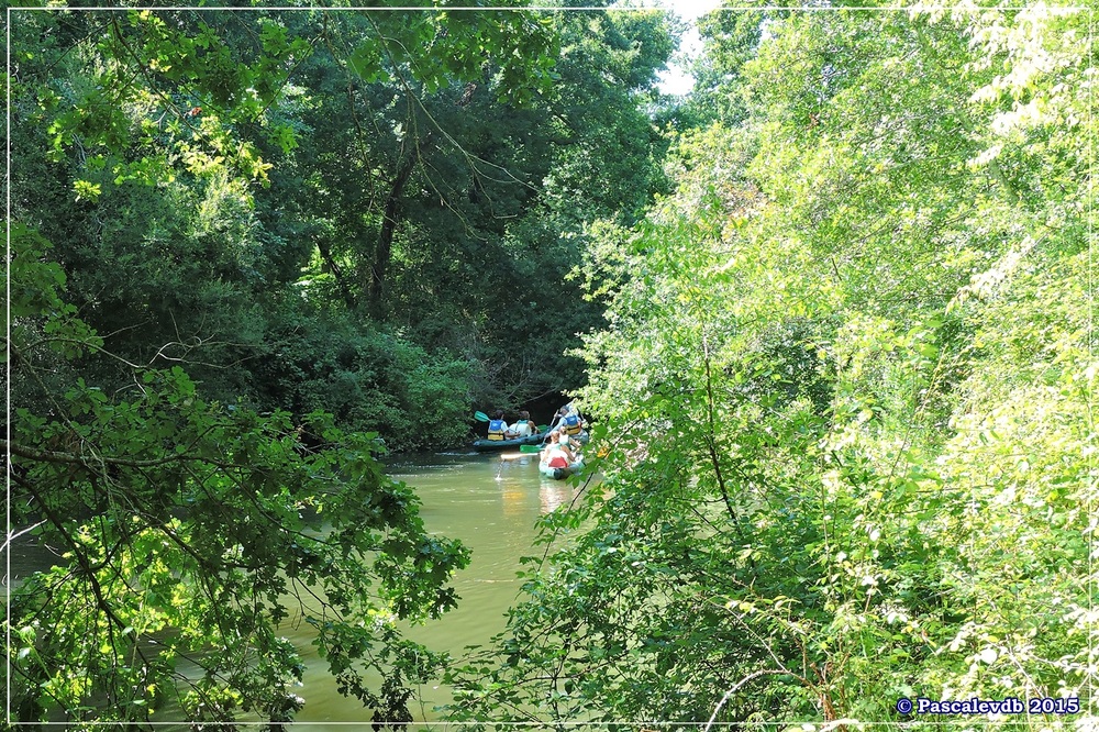 Du pont de l'Eyga aux rives de la Leyre - Août 2015 - 3/6