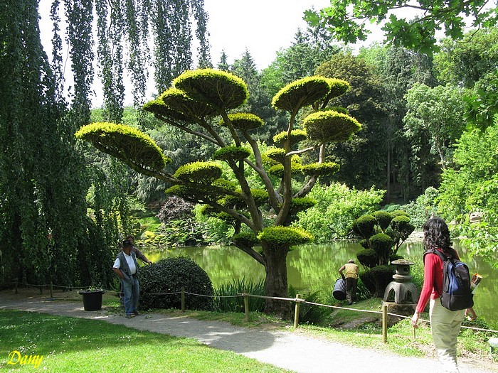 Parc de Maulévrier -01