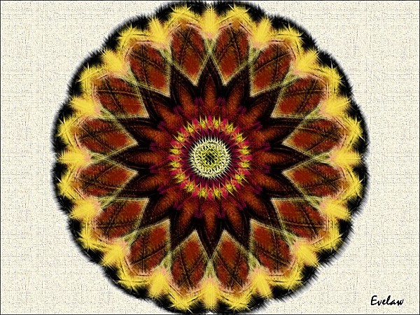 mandala202