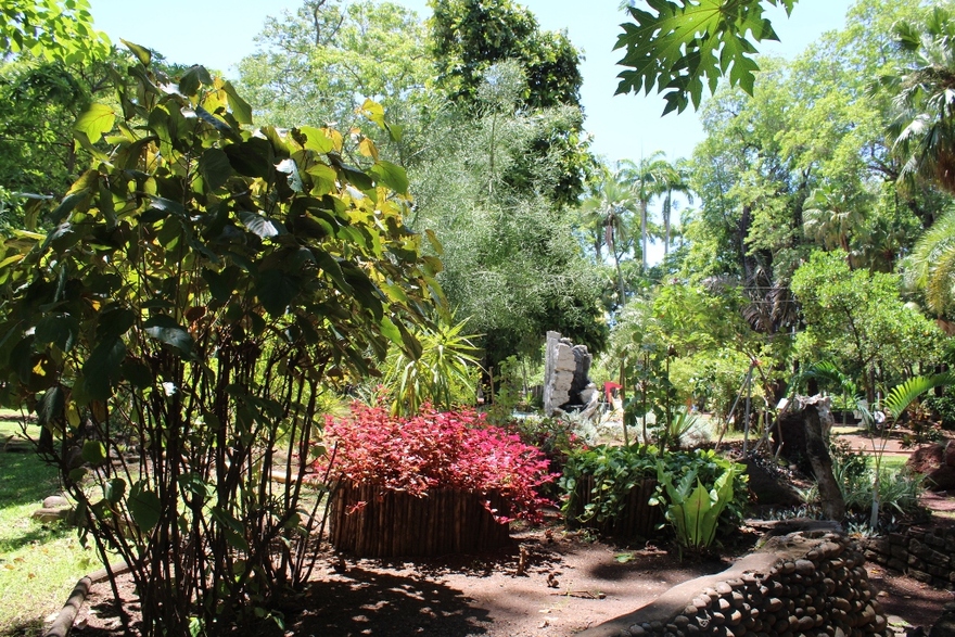 5/9/22 : JARDIN DE L'ETAT A SAINT-DENIS (4/6)