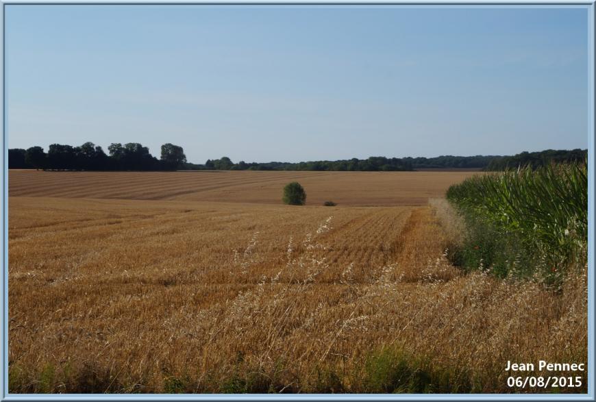 Réchauffement climatique