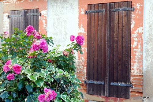 Des ouvertures dans le Tarn: portes fenêtres ...