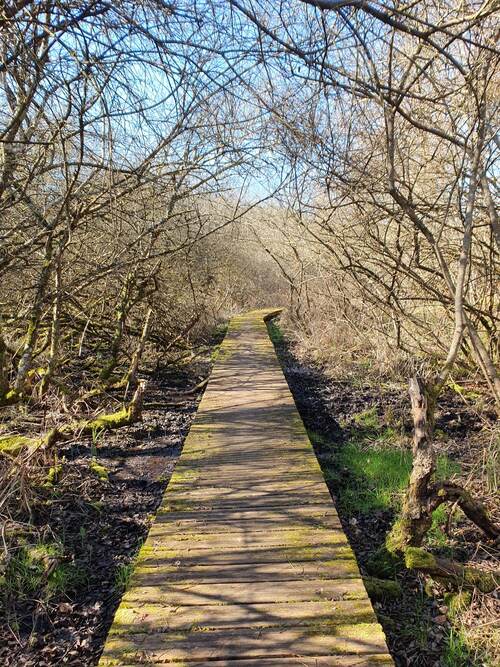 CR RANDO LES MARAIS DE LAY ST REMY DU 27/02/2023