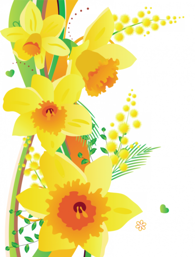 ✿*ﾟYellow flowers