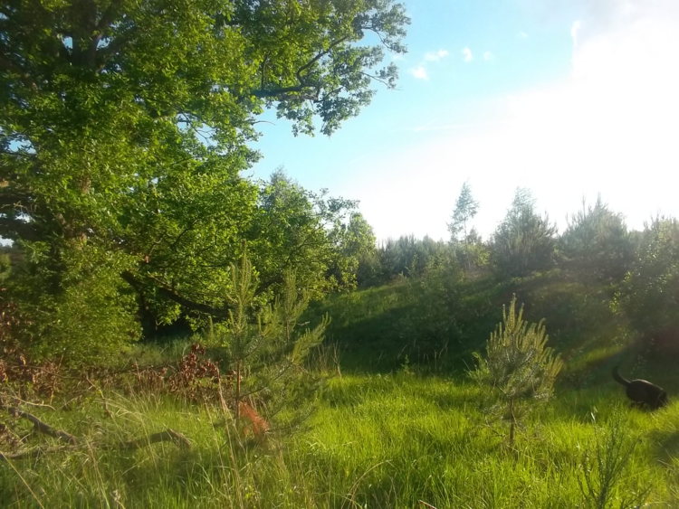 Aisne-les marais de Samoussy