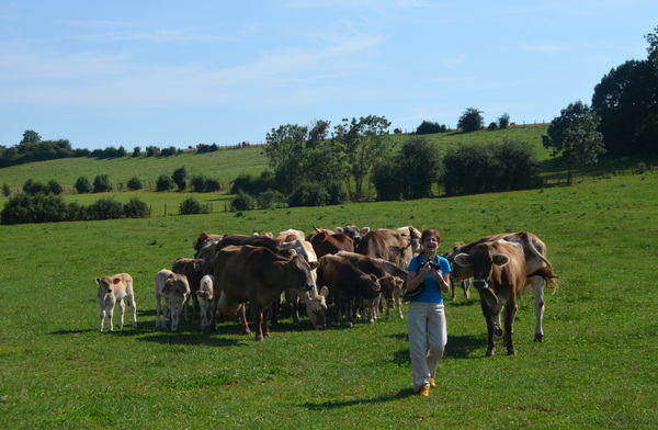 Visite de "La P'tite Ferme" à Poiseul-la-Ville-et-Laperrière